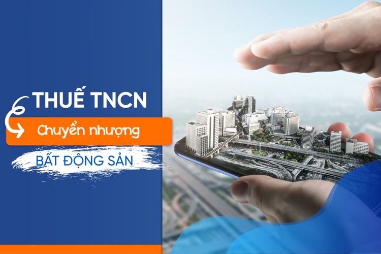 TNCN.jpg