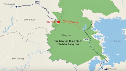 Cau ma Da-.jpg