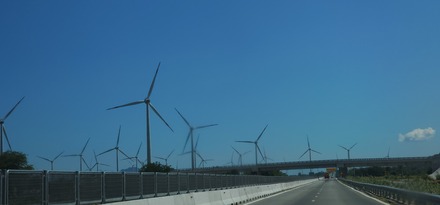 20250420_134514.jpg