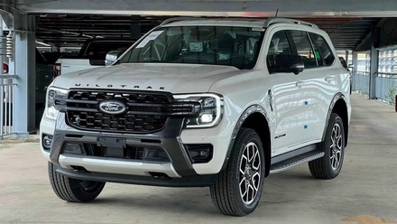 Ford Everest Wildtrak daily.jpg