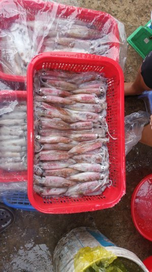 CITY CLUB - hội họp, giao lưu, chém gió CITY CLUB - hội họp, giao lưu, chém gió
