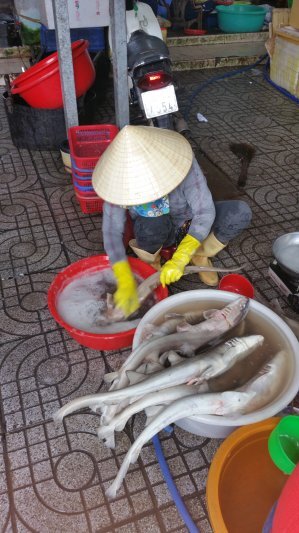 CITY CLUB - hội họp, giao lưu, chém gió CITY CLUB - hội họp, giao lưu, chém gió