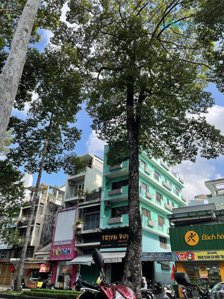 Những con đường đẹp nhất Sài Gòn TP.HCM Những con đường đẹp nhất Sài Gòn TP.HCM