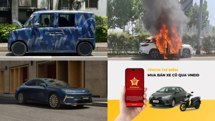collage.png