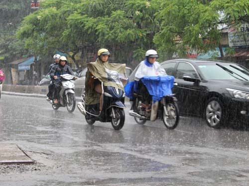 Bài học 650k chỉ vì lười thay vỏ yên xe – Đừng để mưa phá hỏng ví!
