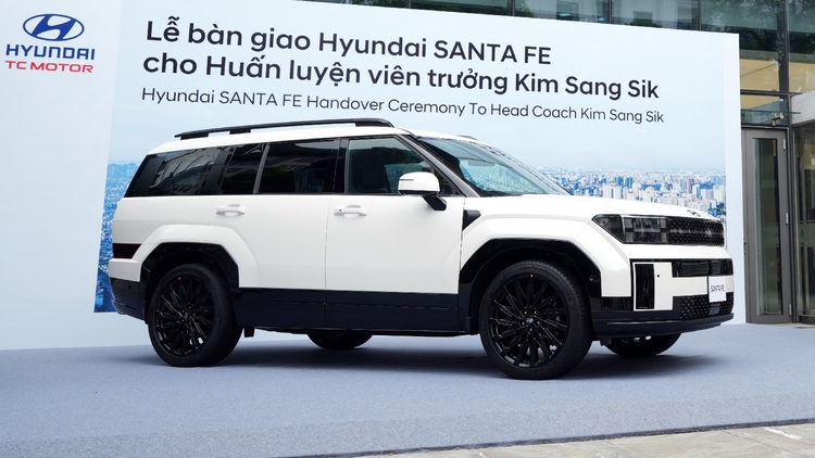 Hyundai Santa Fe - Kim Sang-sik (1).jpg