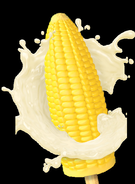 new-product6.png