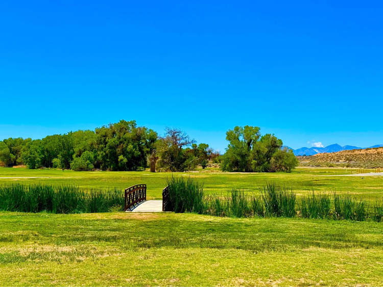 Mojave Narrows Regional Park