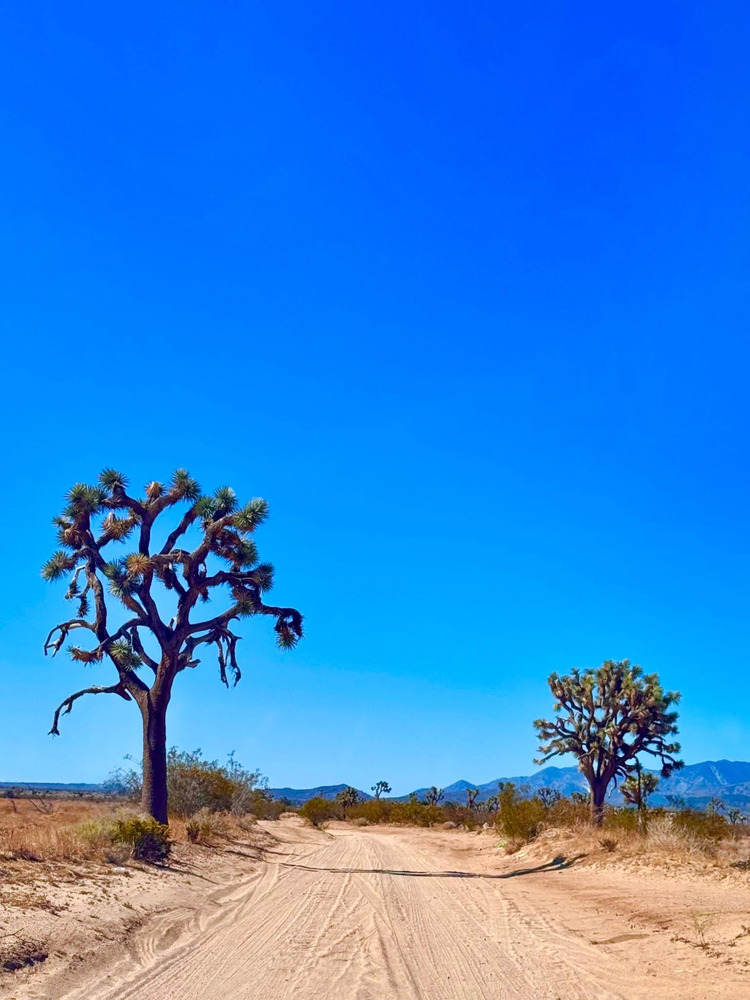 Phelan - California