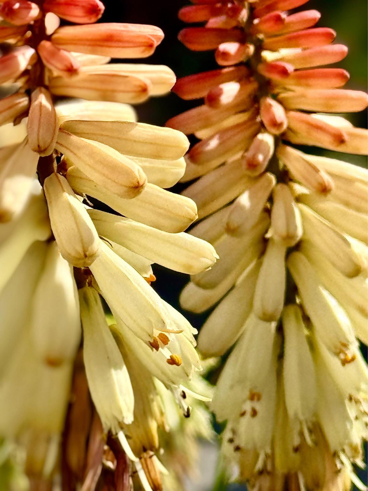 Bên nhau