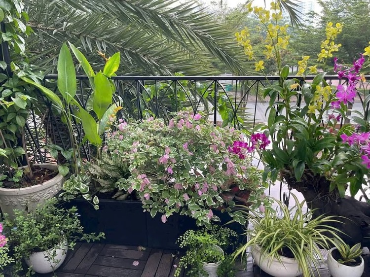 Cập nhật giá căn hộ - nhà phố kinh doanh - biệt thự Phú Mỹ Hưng