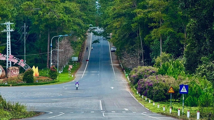 Xin thông tin phượt cung Trường Sơn Đông bằng ô tô