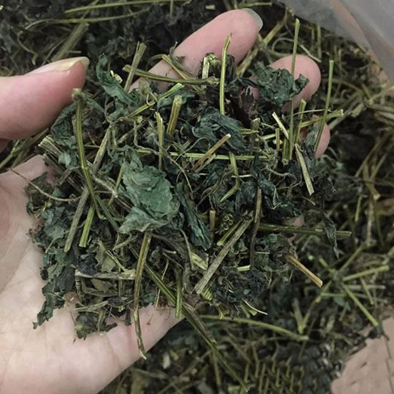 Giải mã sức hút của Giảo cổ lam Hòa Bình