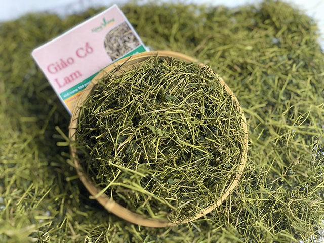 Giải mã sức hút của Giảo cổ lam Hòa Bình