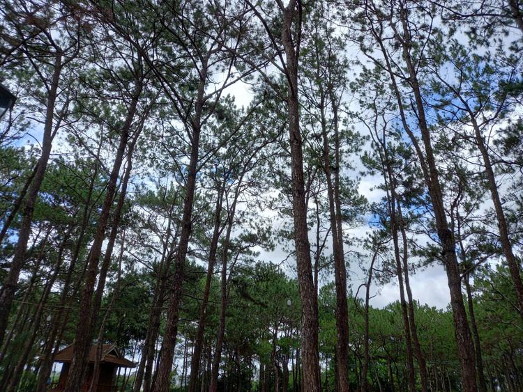 Hành trình hè ngắn ngày 2024-2025: Bảo Lộc thân yêu
