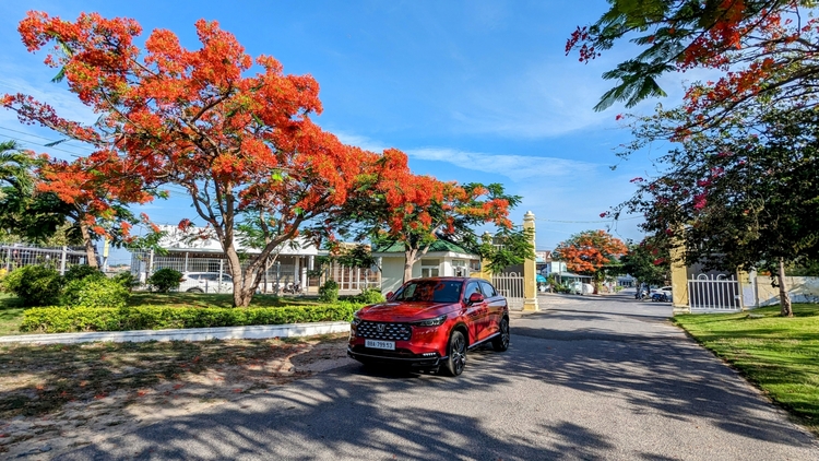Roadtrip SG-Van Phong HR-V Hybrid 2025 (50).jpg