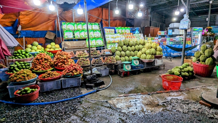 Roadtrip SG-Van Phong HR-V Hybrid 2025 (99).jpg