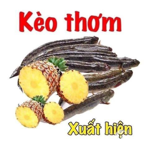 Giải cứu: bất động sản triệu đô ( hàng ngộp, thơm ).... update liên tục..