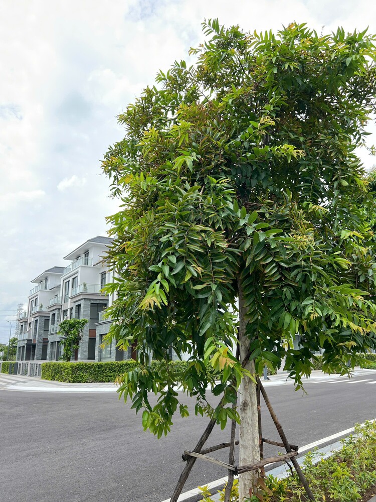 Gladia by Khang Điền & Keppel Land Gladia by Khang Điền & Keppel Land