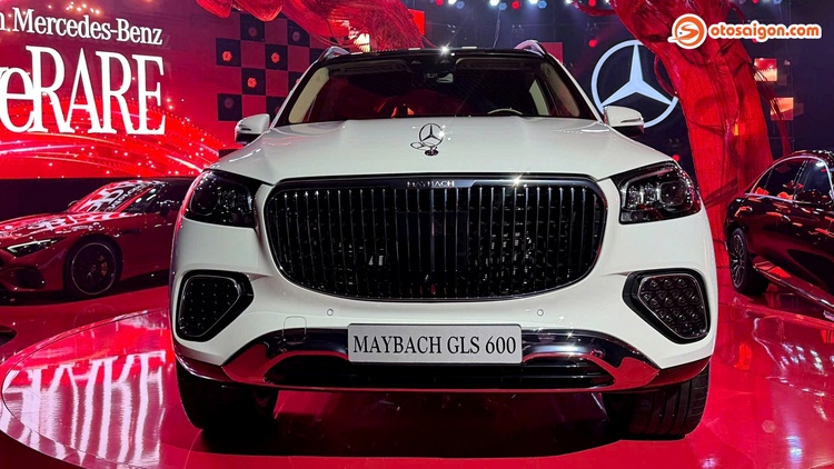 mercedes-maybach-gls-600-27.jpg