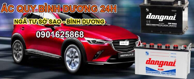 ắc quy Bình Dương