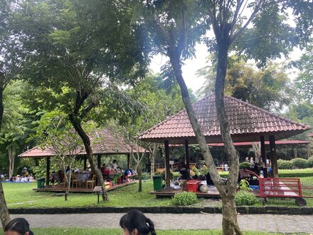 IMG_7837.jpeg