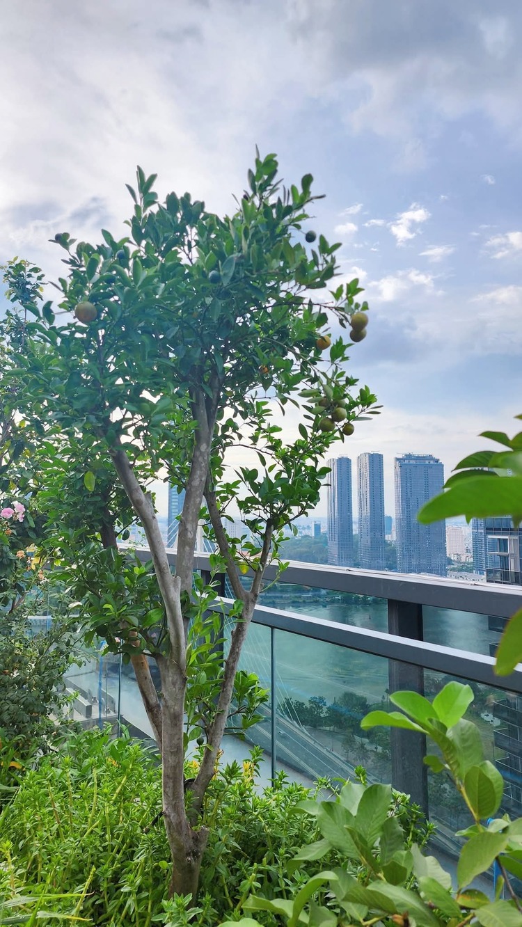 The Metropole Thủ Thiêm: Những vấn đề về pháp lý, rủi ro và có nên đầu tư?