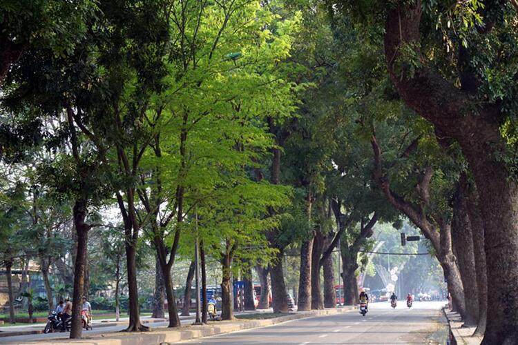 Cấm xe máy chạy xăng, Hà Nội dự kiến hỗ trợ người dân đổi xe, mua xe “xanh”
