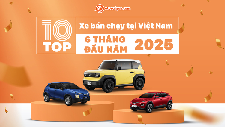 VAMA QUY - NAM 2024 cover.jpg
