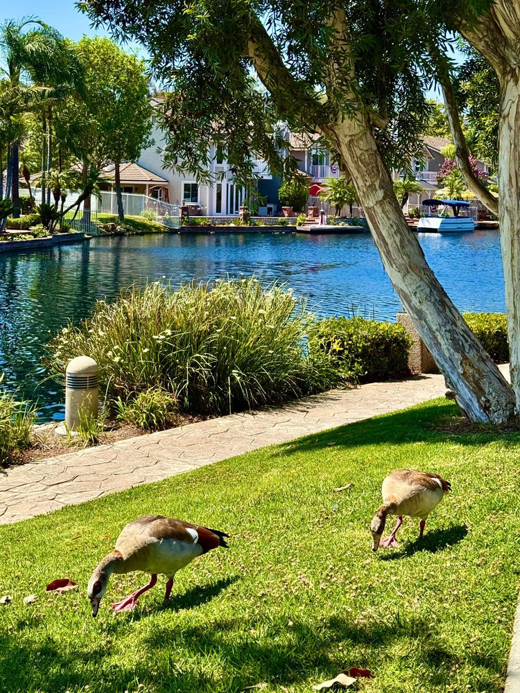 East Lake Village - Yorba Linda