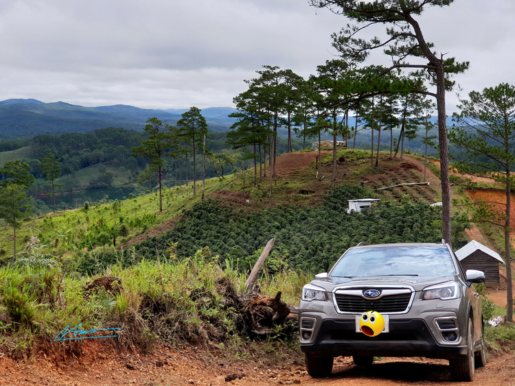 TVH's pic - Subaru Forester o xa Lat, huyen Lac Duong, tinh Lam Dong - 300422 (4).jpg TVH's pic - Subaru Forester o xa Lat, huyen Lac Duong, tinh Lam Dong - 300422 (4).jpg