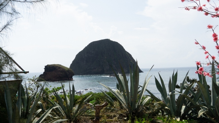 _DSC9878.jpg