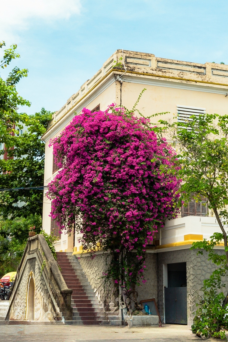 4N3Đ- Phú Yên - Nha Trang - Vũng Tàu 4N3Đ- Phú Yên - Nha Trang - Vũng Tàu