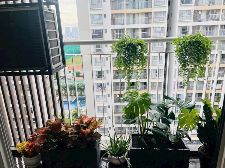 Với tài chính 10 - 15 tỷ. Chọn căn hộ cao cấp hay nhà phố compound Với tài chính 10 - 15 tỷ. Chọn căn hộ cao cấp hay nhà phố compound