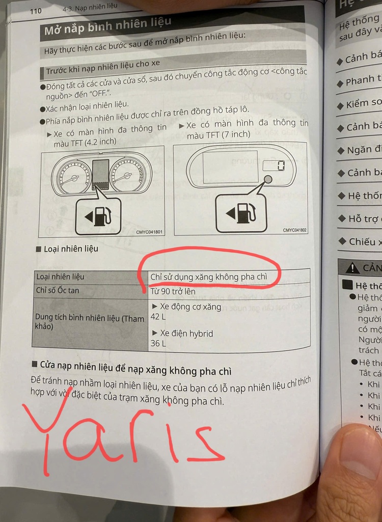 1000026244.jpg