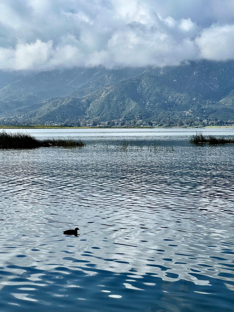 Lake Elsinore - California