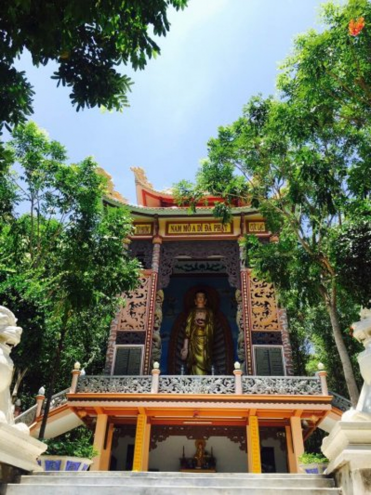 Hành trình 8 ngày: Sg -> Phú Yên -> Quy Nhơn -> Đà Nẵng -> Ngã 3 Đông Dương -> BMT -> ĐL -> Sg Hành trình 8 ngày: Sg -> Phú Yên -> Quy Nhơn -> Đà Nẵng -> Ngã 3 Đông Dương -> BMT -> ĐL -> Sg