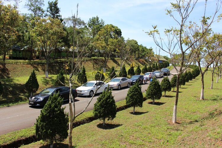 Camry tiền tỷ đâm ngang giải phân cách, thế mà túi khí vẫn không nổ Camry tiền tỷ đâm ngang giải phân cách, thế mà túi khí vẫn không nổ