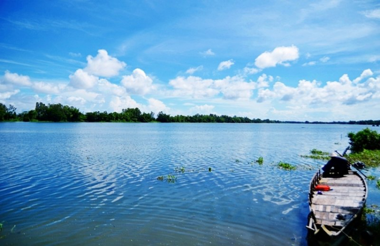 Miền Tây mùa nước nổi, cá linh non, bông điên điển....