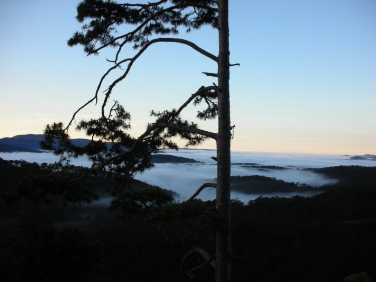 DALAT GIỜ CHỈ CÒN TRONG KÝ ỨC DALAT GIỜ CHỈ CÒN TRONG KÝ ỨC