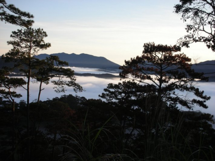 DALAT GIỜ CHỈ CÒN TRONG KÝ ỨC DALAT GIỜ CHỈ CÒN TRONG KÝ ỨC