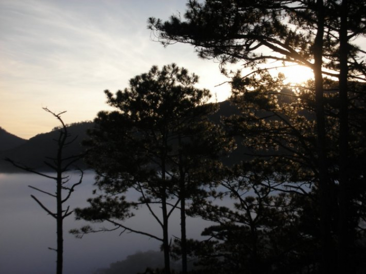 DALAT GIỜ CHỈ CÒN TRONG KÝ ỨC DALAT GIỜ CHỈ CÒN TRONG KÝ ỨC