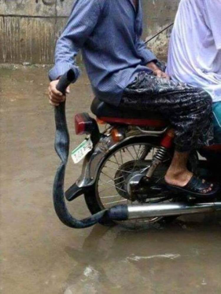 Chùm ảnh: Sau cơn mưa, "sông" Sài Gòn hỗn loạn Chùm ảnh: Sau cơn mưa, "sông" Sài Gòn hỗn loạn