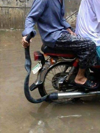 Xe gặp lụt phải làm gi