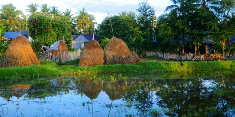 Miền Tây mùa nước nổi, cá linh non, bông điên điển....