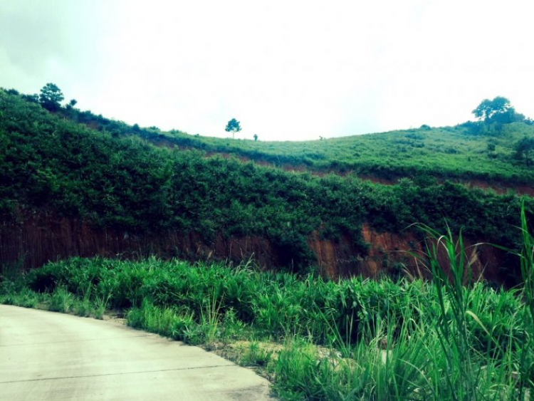 Hành trình 8 ngày: Sg -> Phú Yên -> Quy Nhơn -> Đà Nẵng -> Ngã 3 Đông Dương -> BMT -> ĐL -> Sg Hành trình 8 ngày: Sg -> Phú Yên -> Quy Nhơn -> Đà Nẵng -> Ngã 3 Đông Dương -> BMT -> ĐL -> Sg