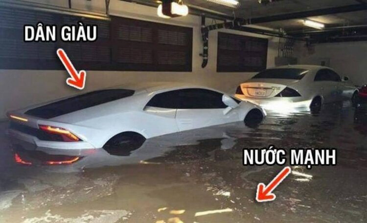 Đôi mắt bị quên lãng !