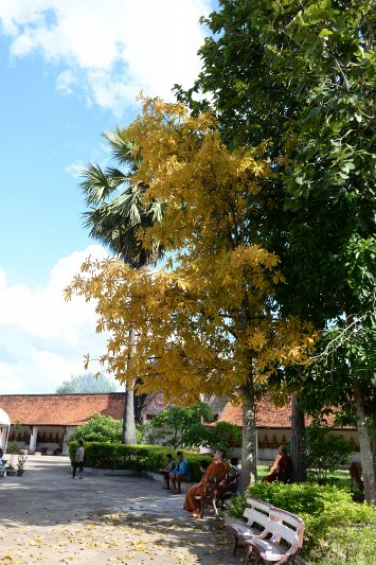 NƠi các bác đã đi qua NƠi các bác đã đi qua