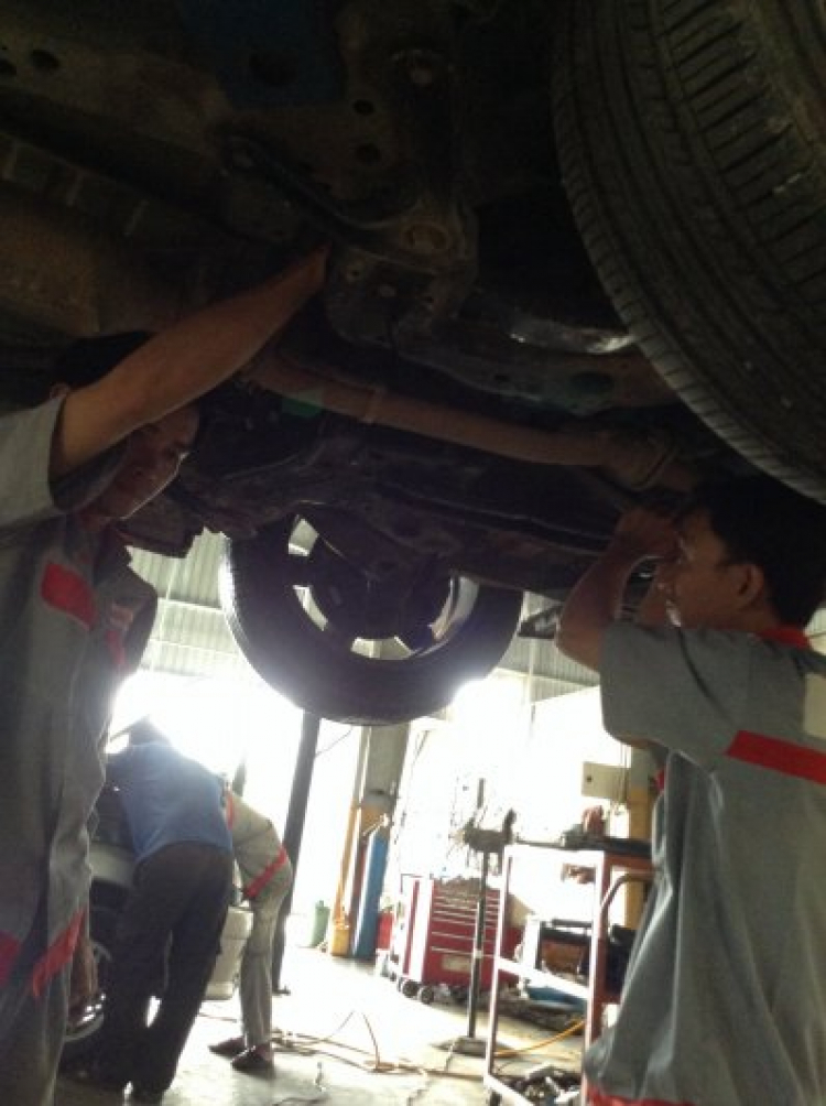 Em mới tham gia CSKH của Mit Em mới tham gia CSKH của Mit
