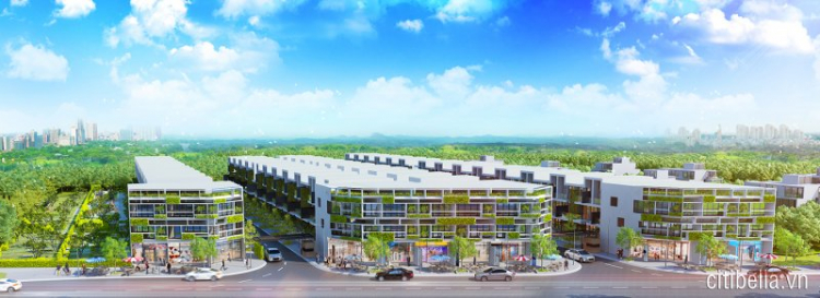 Tất cả thông tin về dự án Citibella Quận 2